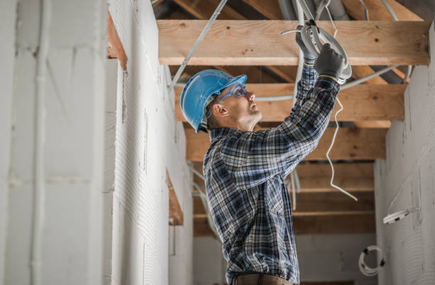Best Electric Panel Repair  in Garrison, ND